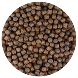 Astax-Korrel-6mm-ked-600
