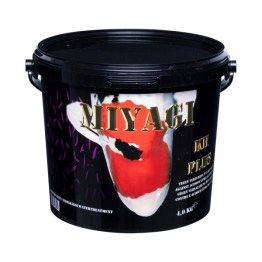 Miyagi-KH-4kg-600x600