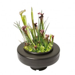 SuperFish-Floating-Plant-Basket-drijvende-plantenmand-XL-30cm-600x600