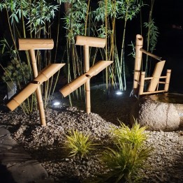 imageedit_12_5938013464